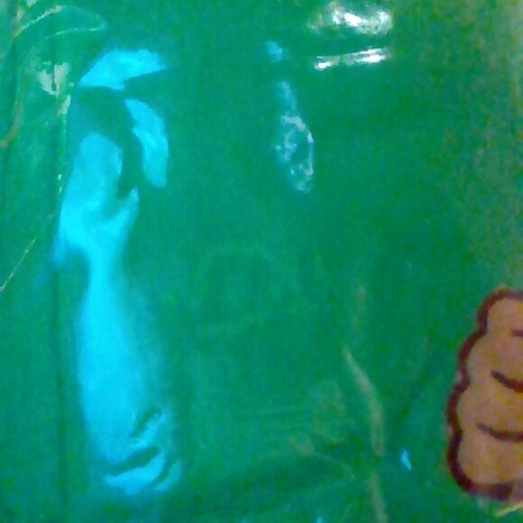 Brand New Nick Jr. Go Diego Go! 2-Piece Jumbo Pillow Cover and Blanket Set - Picture 2 of 5